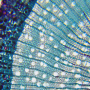 TS-20180823143635047-1920