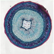 TS-20180823144704278-1920