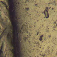 TS-20180918144153399-1920