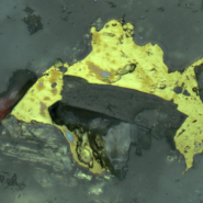 TS-20181010105013122-1920