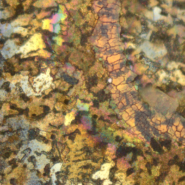 TS-20181011092326969-1920