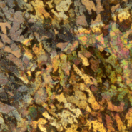 TS-20181011125343295-1920