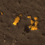 TS-20181011154826009-1920