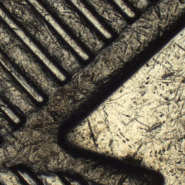 TS-20181011160355441-1920