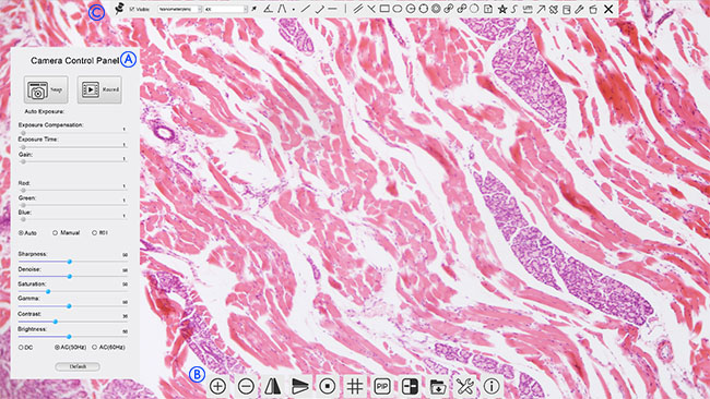 4k ultra hd digital microscope camera integrated measurement software user interface